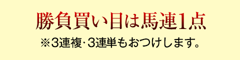 買い目は馬連完全1点※「押さえ」はありません。※3連単は30点提供。